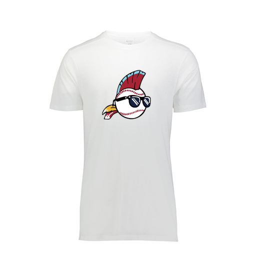 [FTSCUBWH-AS-LOGO1] Decker Men's Tri-Blend T-Shirt - Short Sleeve (Adult S, White, Logo 1)