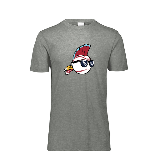 [FTSCUBGY-AS-LOGO1] Decker Men's Tri-Blend T-Shirt - Short Sleeve (Adult S, Gray, Logo 1)