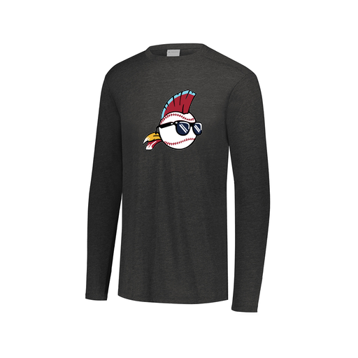 [FTLCUBBK-AXS-LOGO1] Decker Men's Tri-Blend T-Shirt - Long Sleeve (Adult XS, Black, Logo 1)